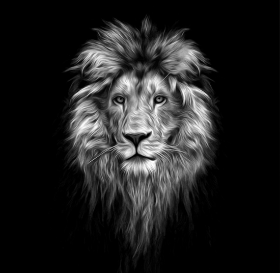 Album cover of 2essentialz single - Lion, cover is a picture of a lions head 